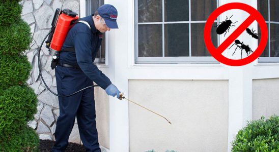 Suluova Dezenfeksiyon böcek ilaçlama ve haşere kontrolü — ilaclama-tr.com